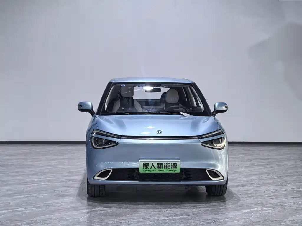 Dongfeng Nano 01 2024