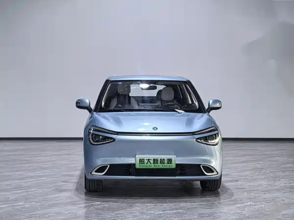 Dongfeng Nano 01 2024