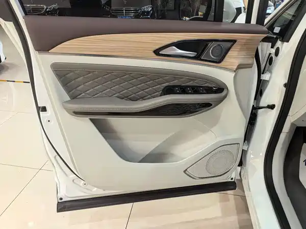 Dongfeng Popular Yacht 2024