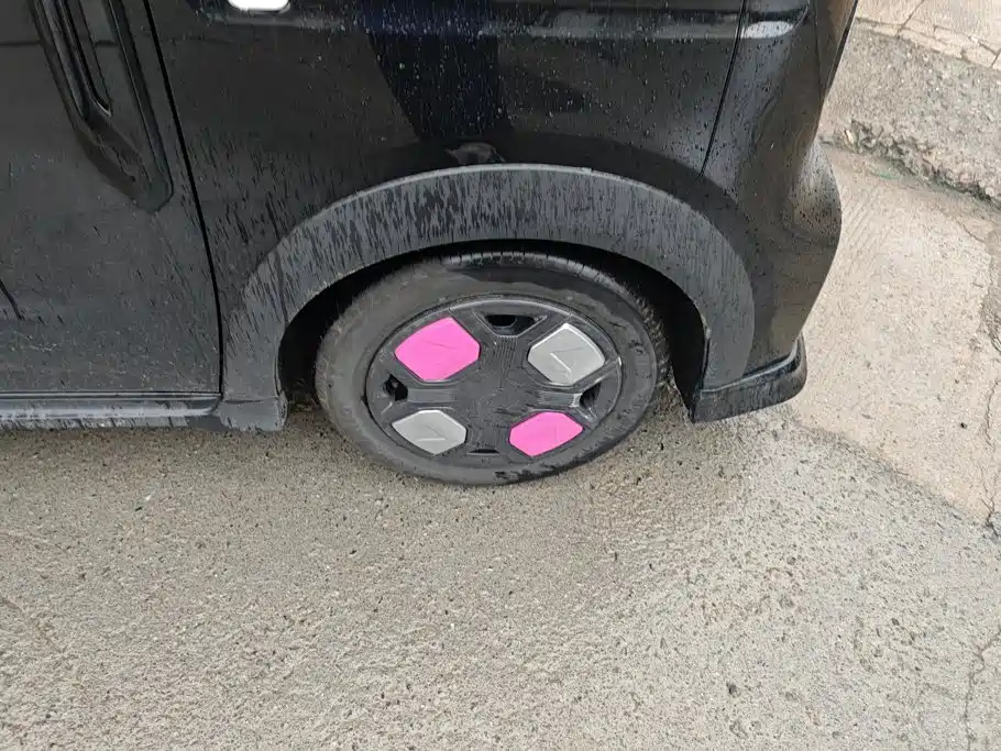 Geely Galaxy Panda 2024