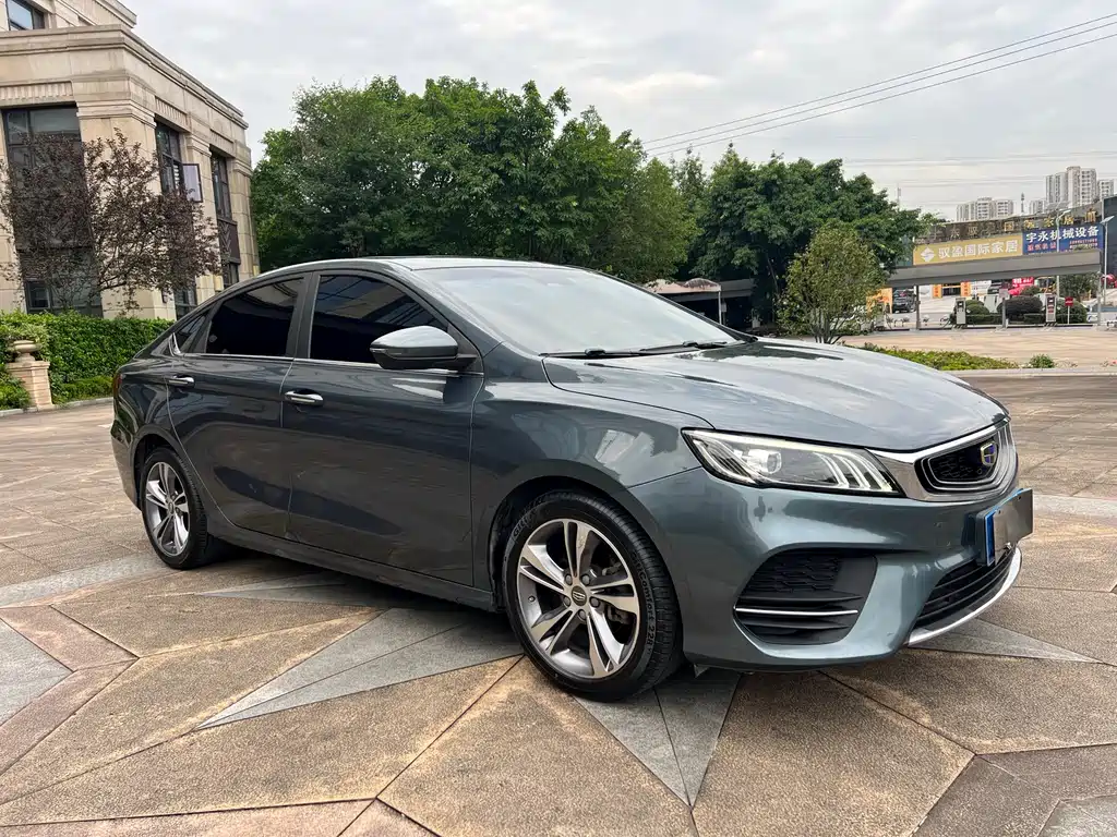 Geely Binrui 2019