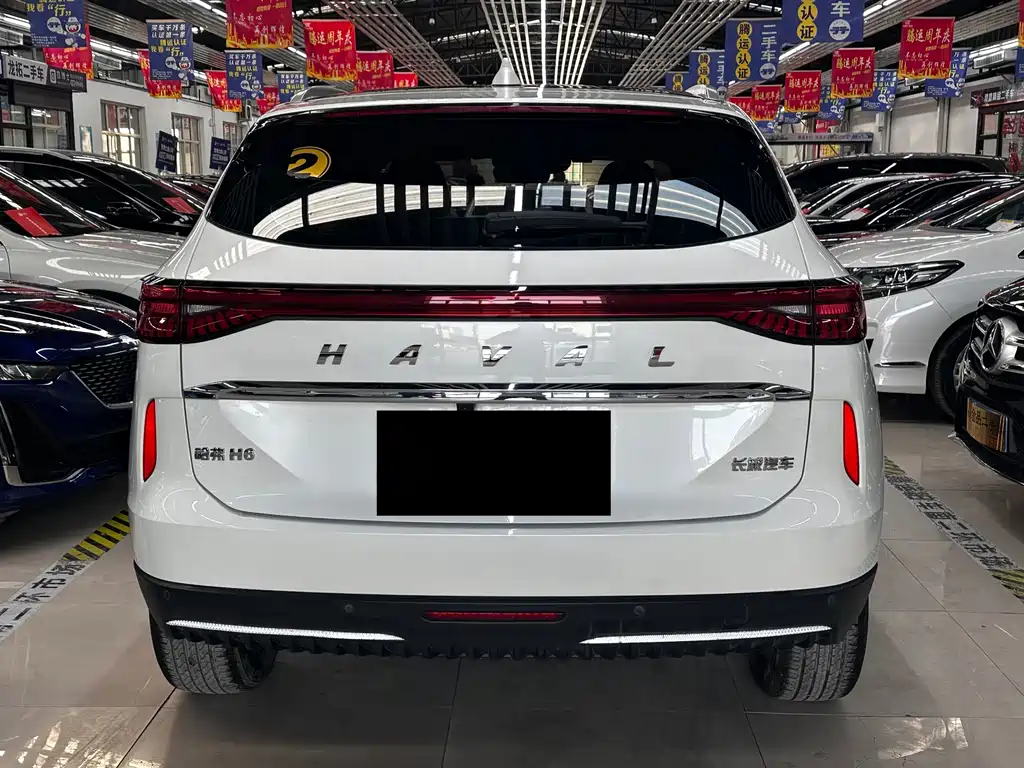 Haval H6 New Energy 2022 — фото 5