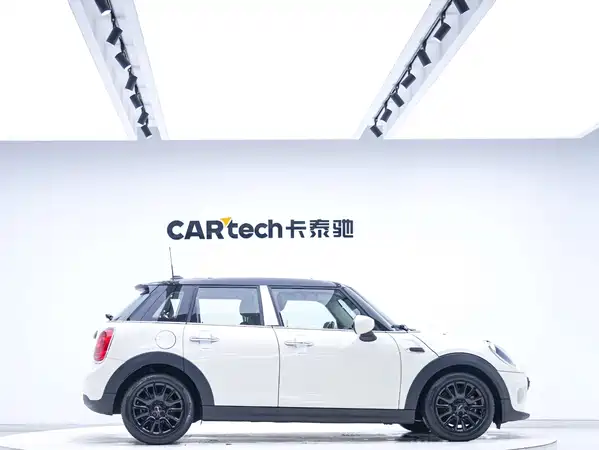 MINI MINI 2018