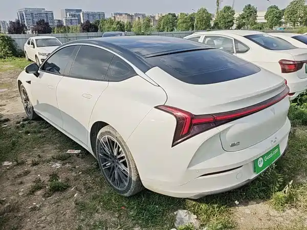 Neta S 2023