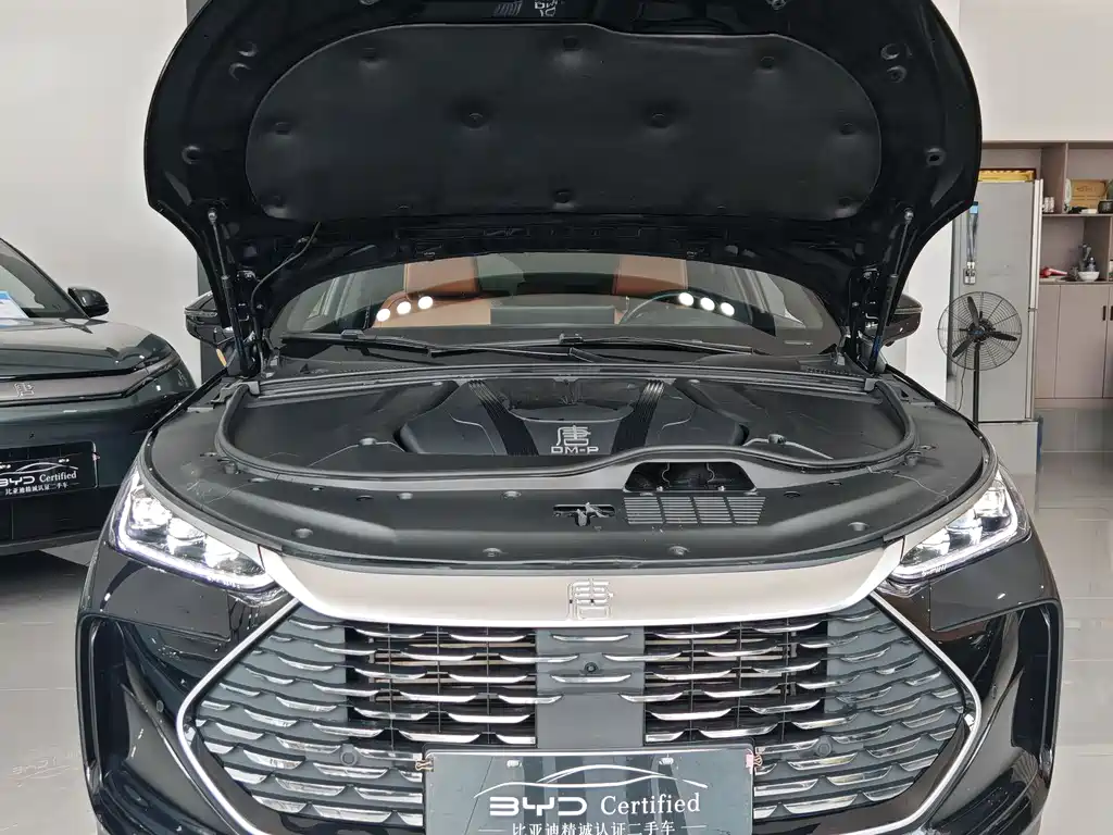 BYD Tang New Energy 2023 — фото 11