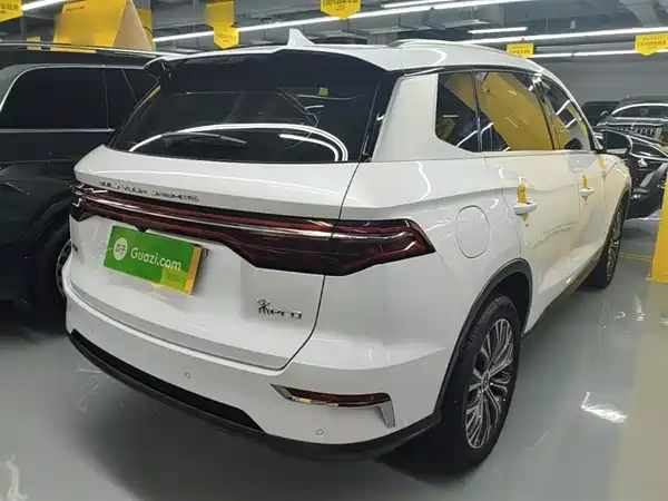 BYD Song Pro New Energy 2019