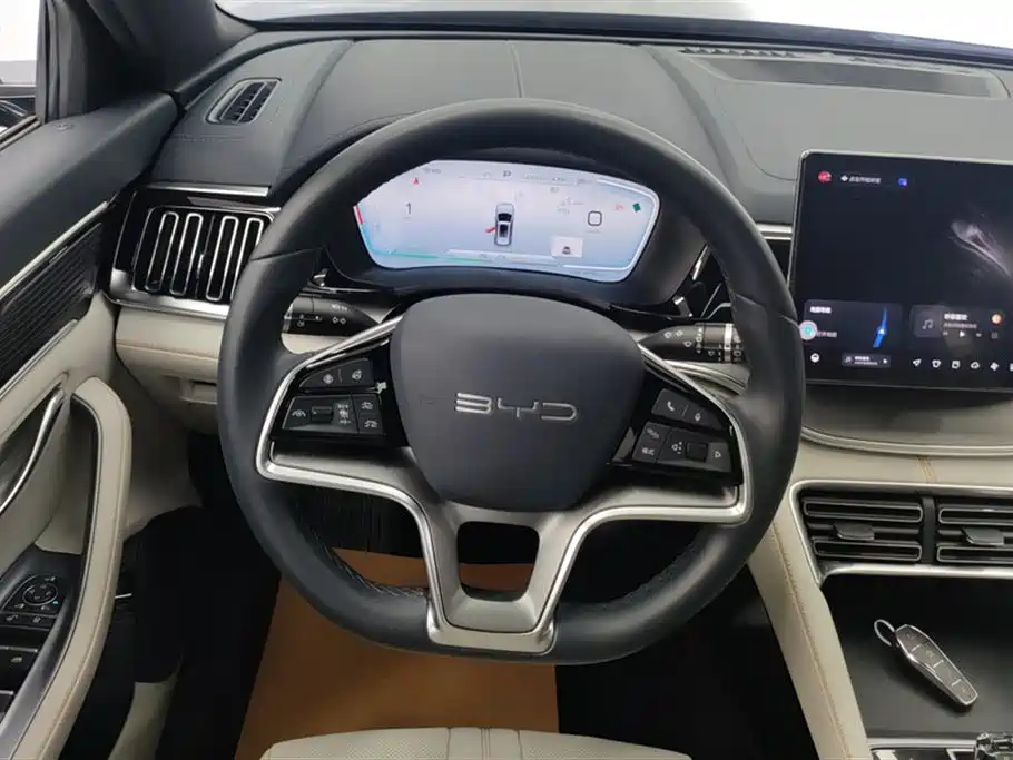 BYD PLUS New Energy 2024 — фото 15