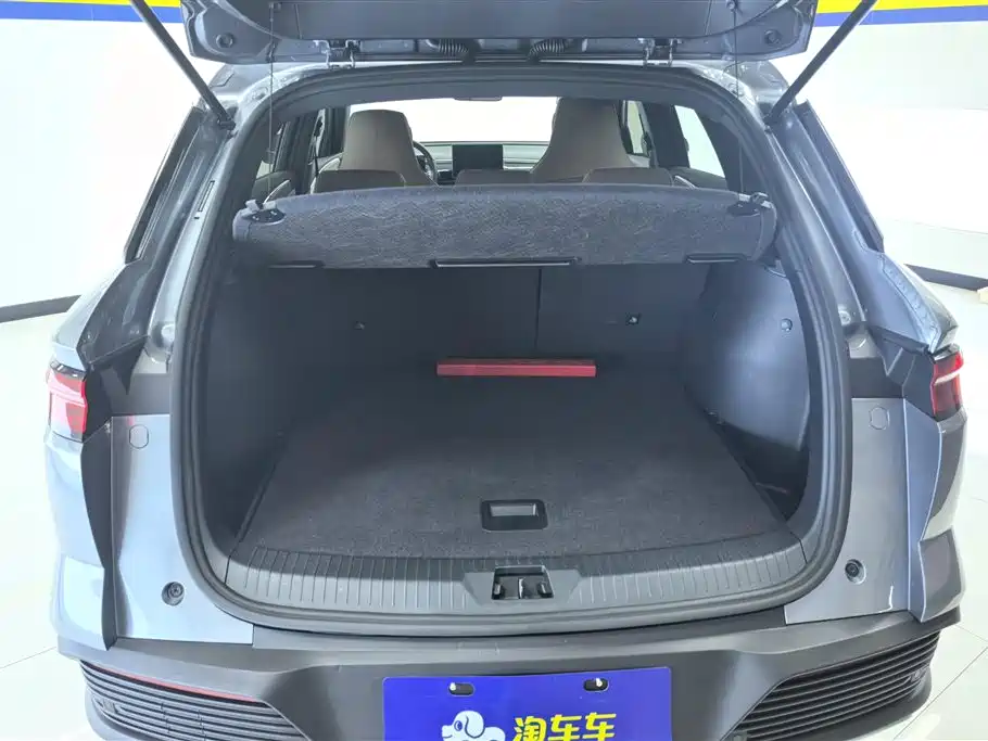 BYD Pro New Energy 2024 — фото 4