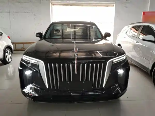 Hongqi E-HS9 2023
