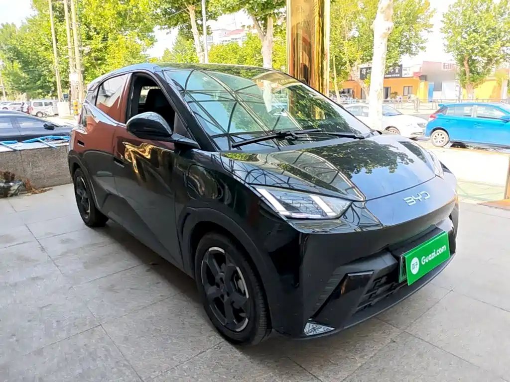 BYD Seagull 2024
