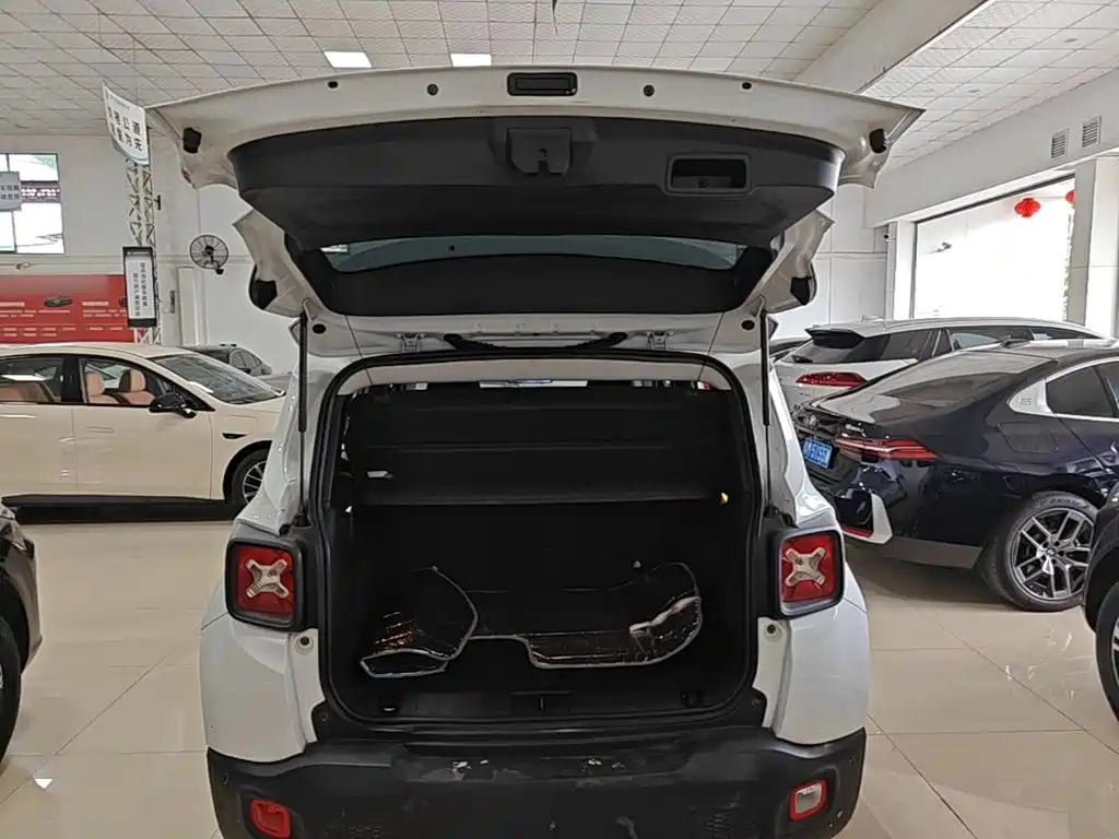 Jeep Renegade 2016 — фото 19