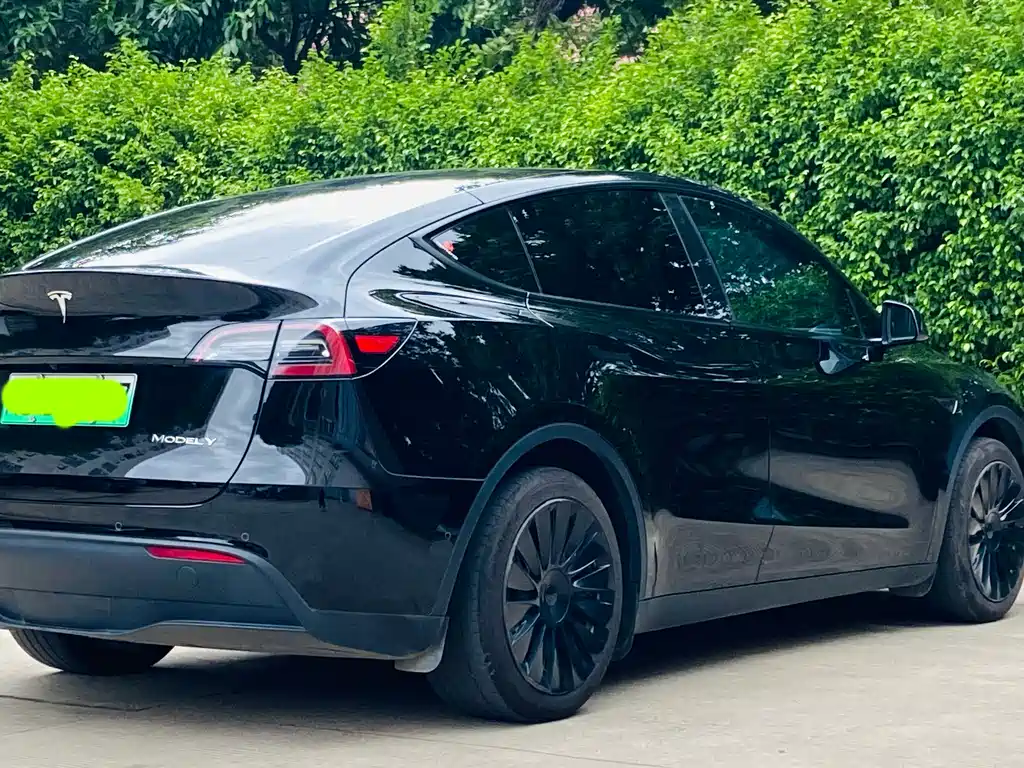 Tesla Model Y 2023 — фото 3