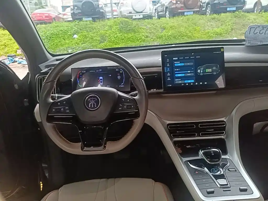 BYD Pro New Energy 2024 — фото 10