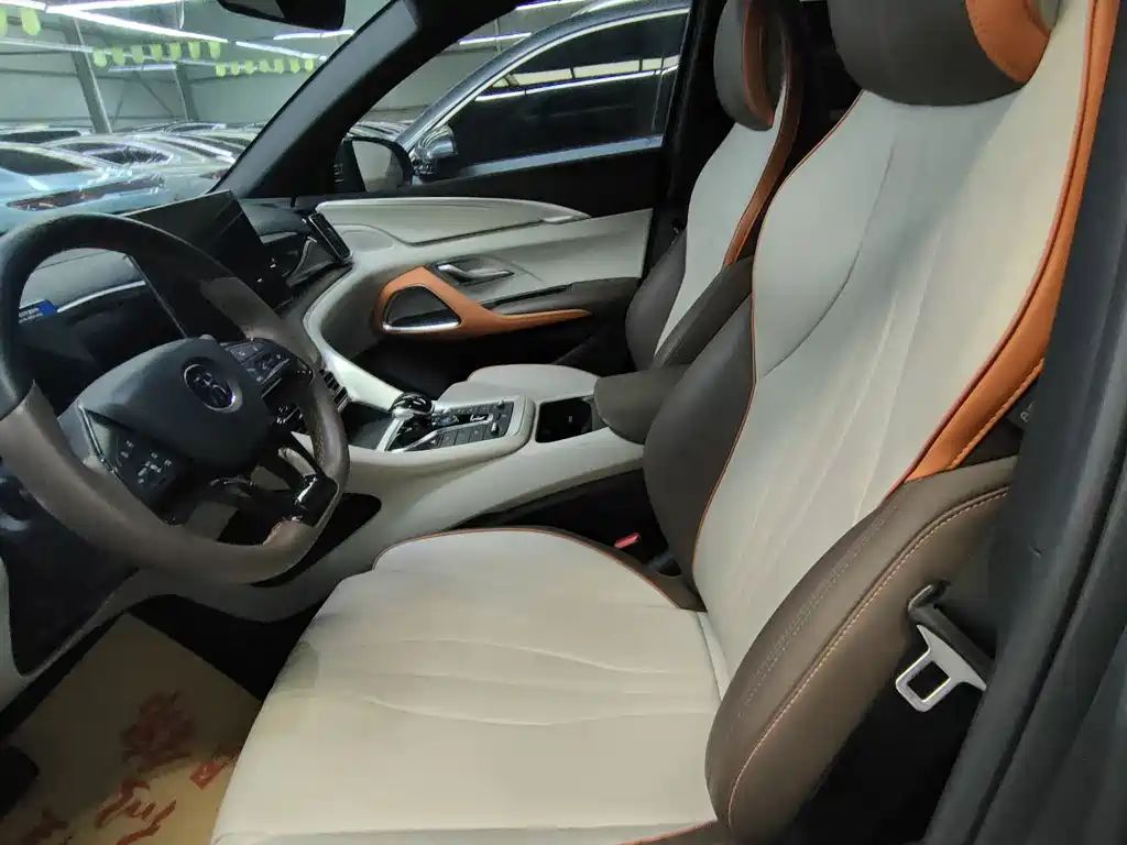BYD Pro New Energy 2023 — фото 12