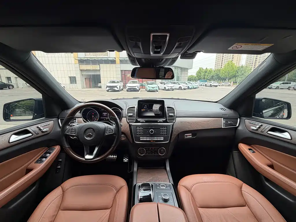 Mercedes-Benz GLS 2017 — фото 14