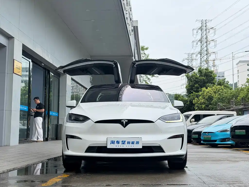 Tesla Model X 2023 — фото 2