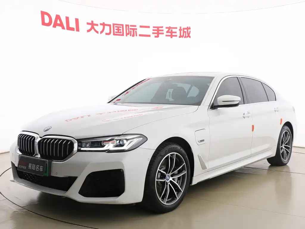 BMW 5 Series New Energy 2022