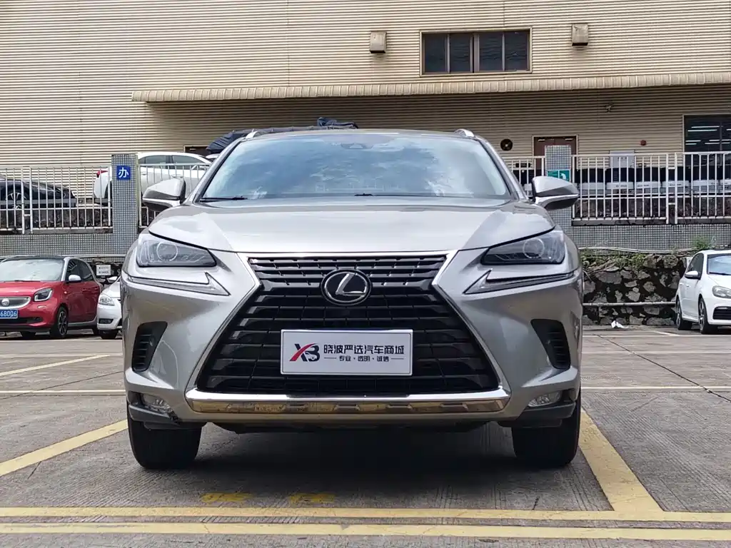 Lexus NX 2020 — фото 2