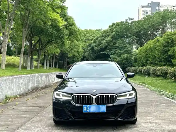 BMW 5 Series 2021