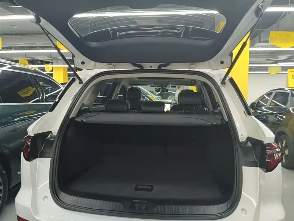 BYD Pro New Energy 2020 — фото 19