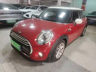 MINI MINI 2015