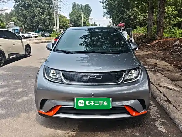 BYD Dolphin 2022