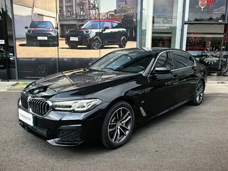 BMW 5 Series New Energy 2020 — фото 1