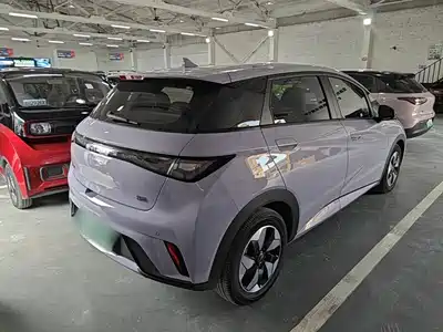 BYD Dolphin 2024