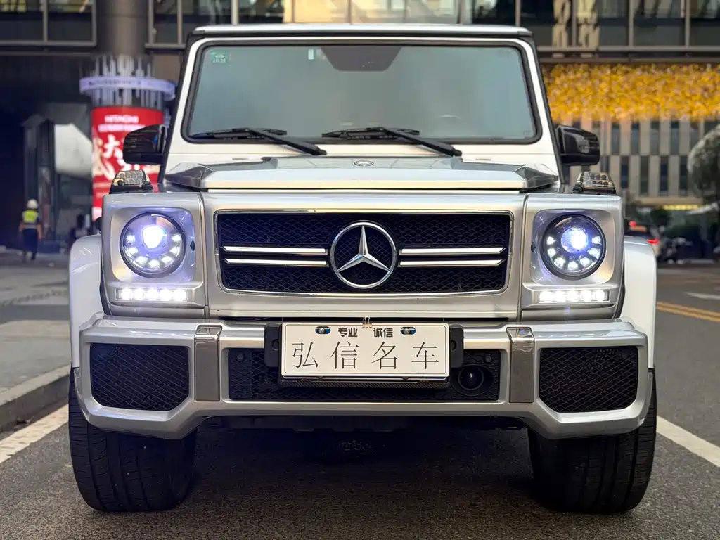 Mercedes-Benz G-Class 2010 — фото 2