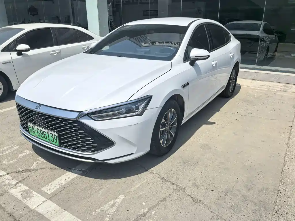 BYD Qin PLUS 2024 — фото 1