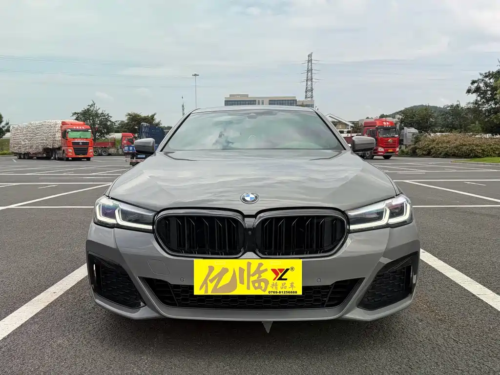 BMW 5 Series 2021
