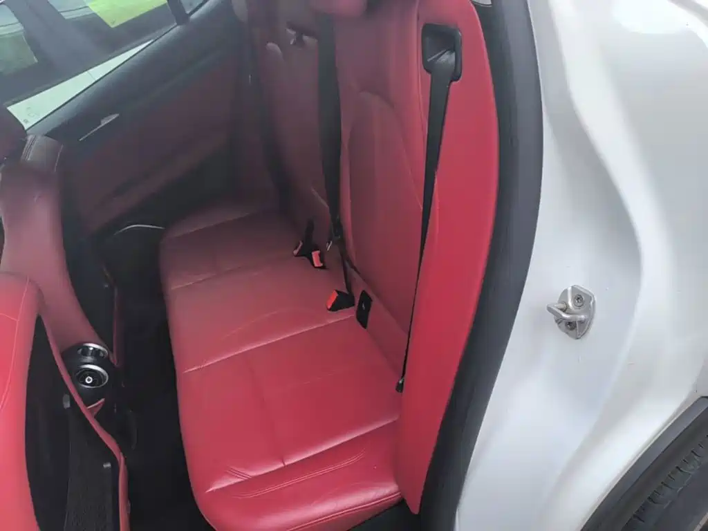 Alfa Romeo Stelvio 2019 — фото 17