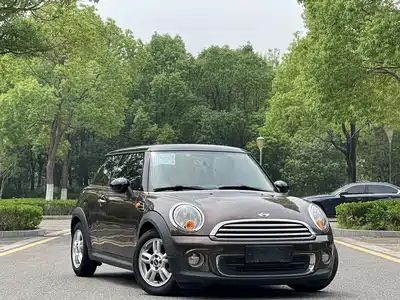 MINI MINI 2012