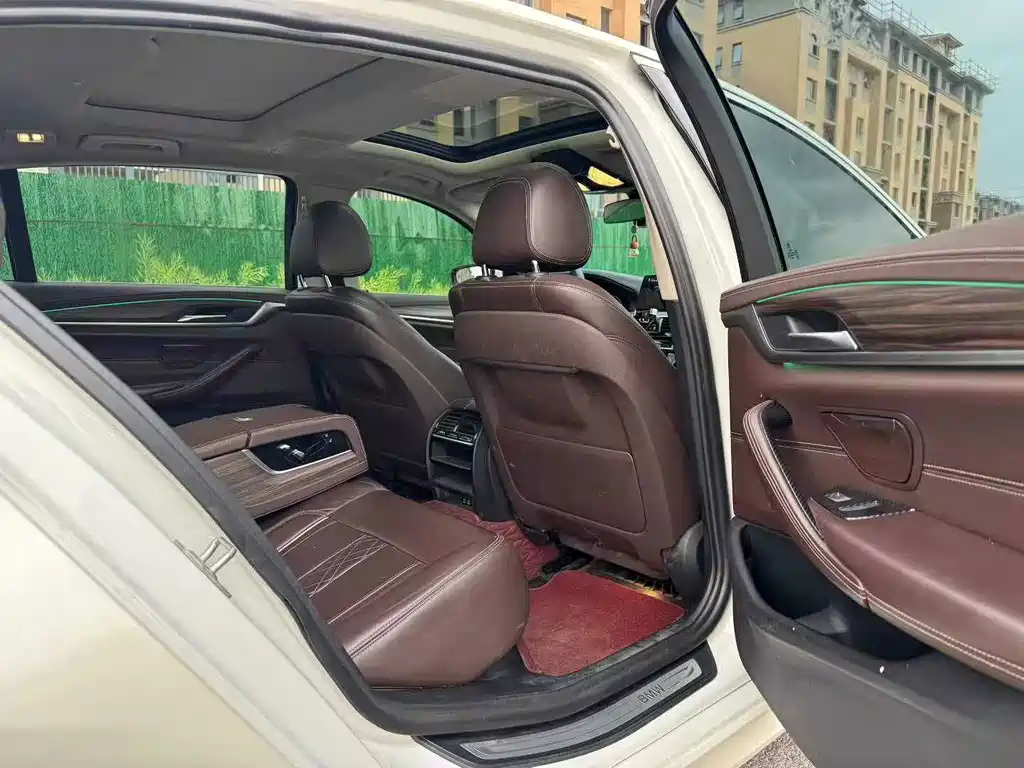 BMW 5 Series New Energy 2020