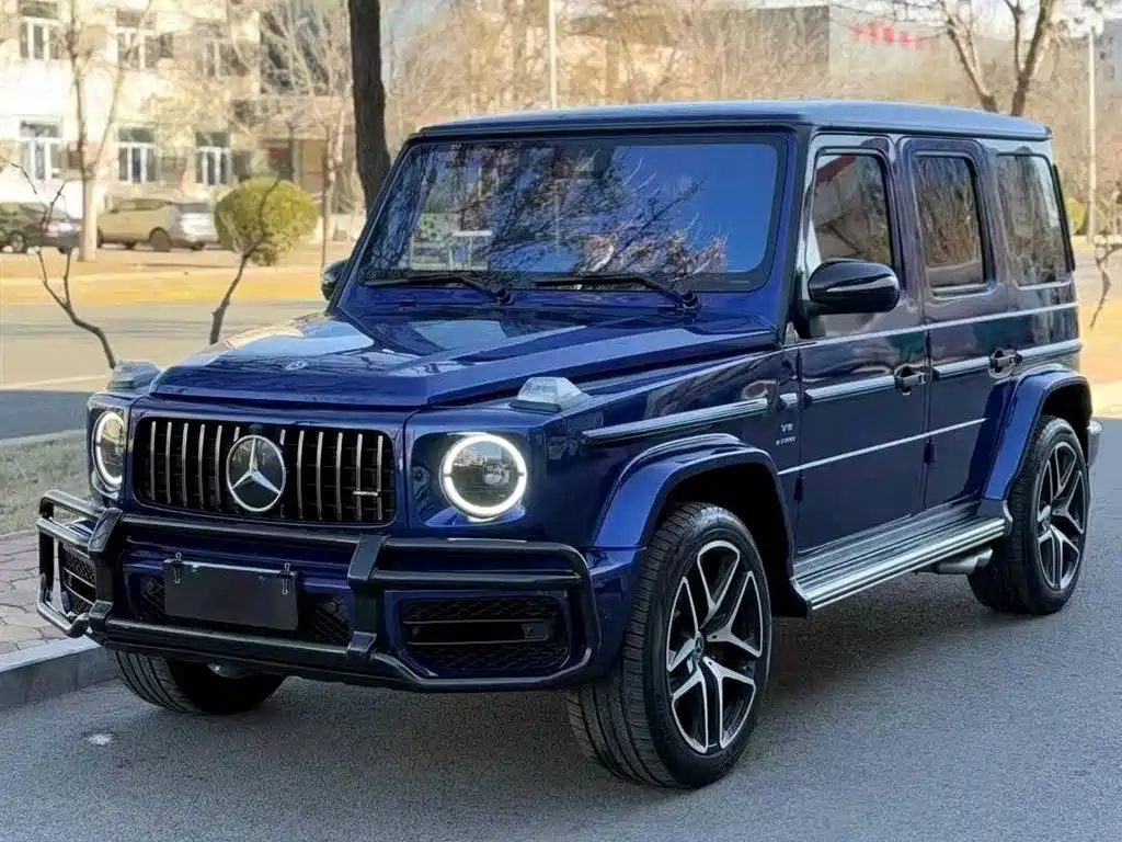 Mercedes-Benz G-Class 2021 — фото 1