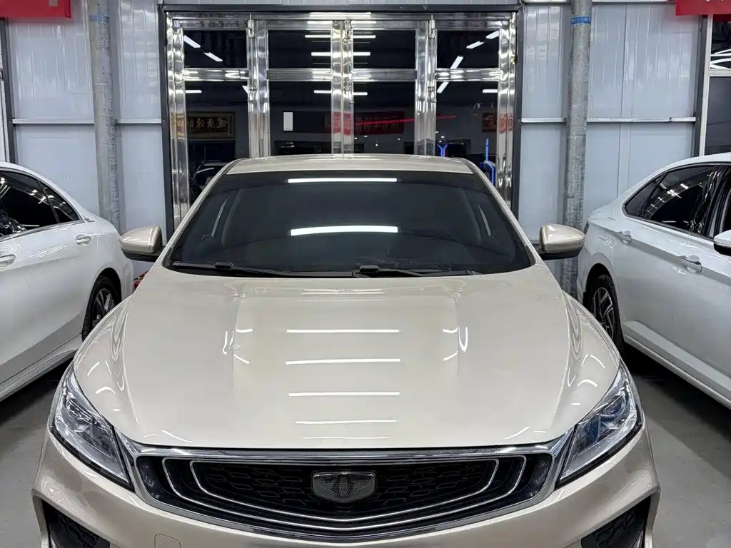 Geely Binrui 2019