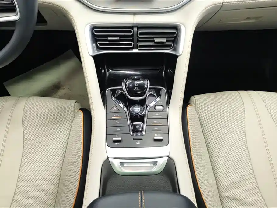 BYD PLUS New Energy 2022 — фото 16