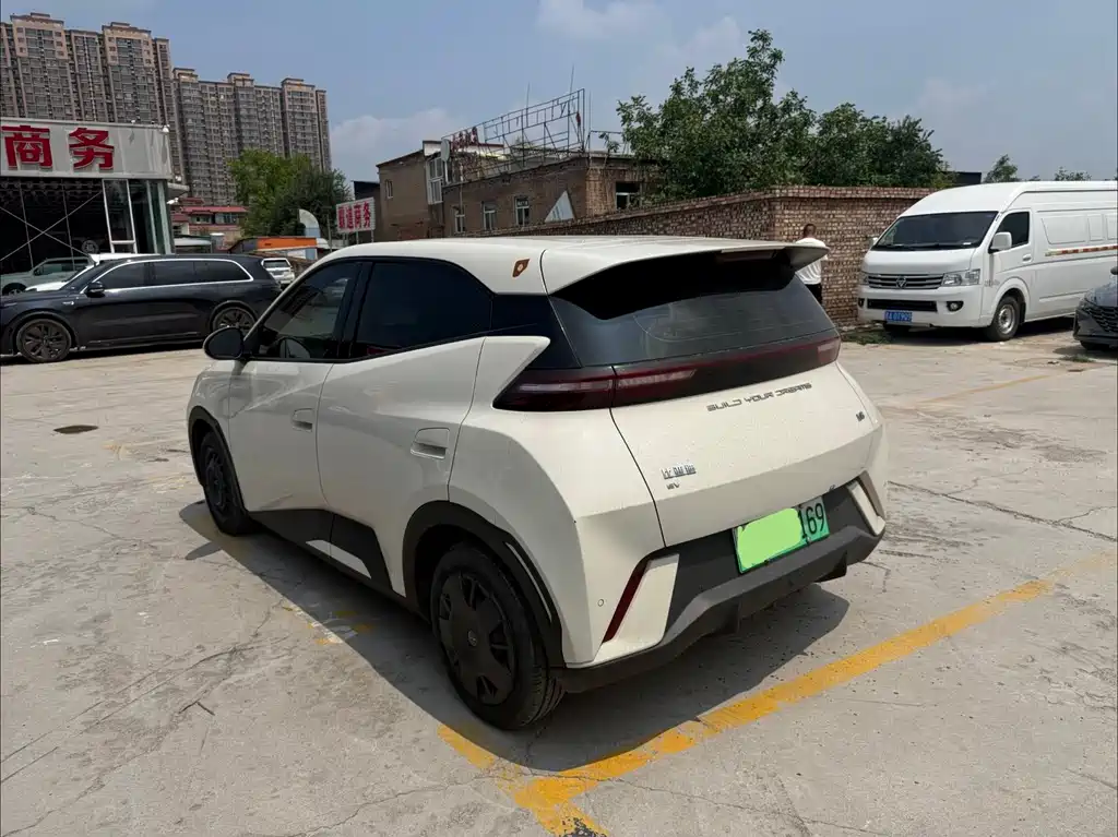 BYD Seagull 2024