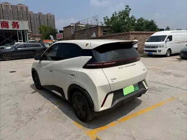 BYD Seagull 2024