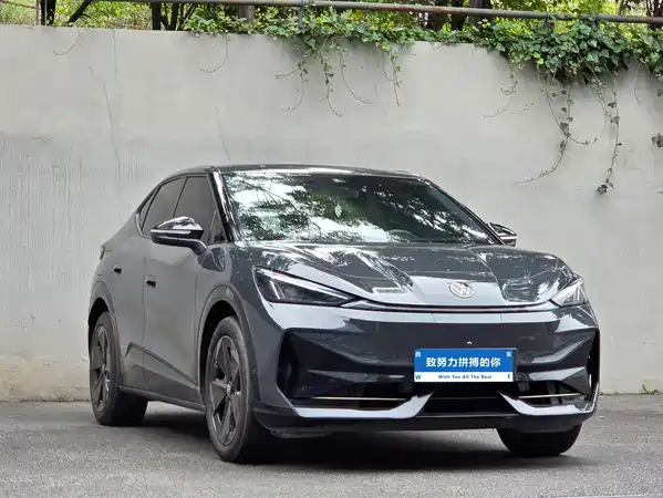 Volkswagen Distinctive 06 2025