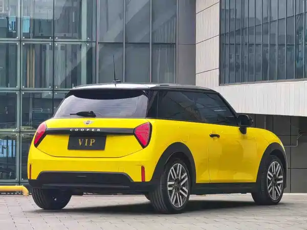 MINI MINI 2025