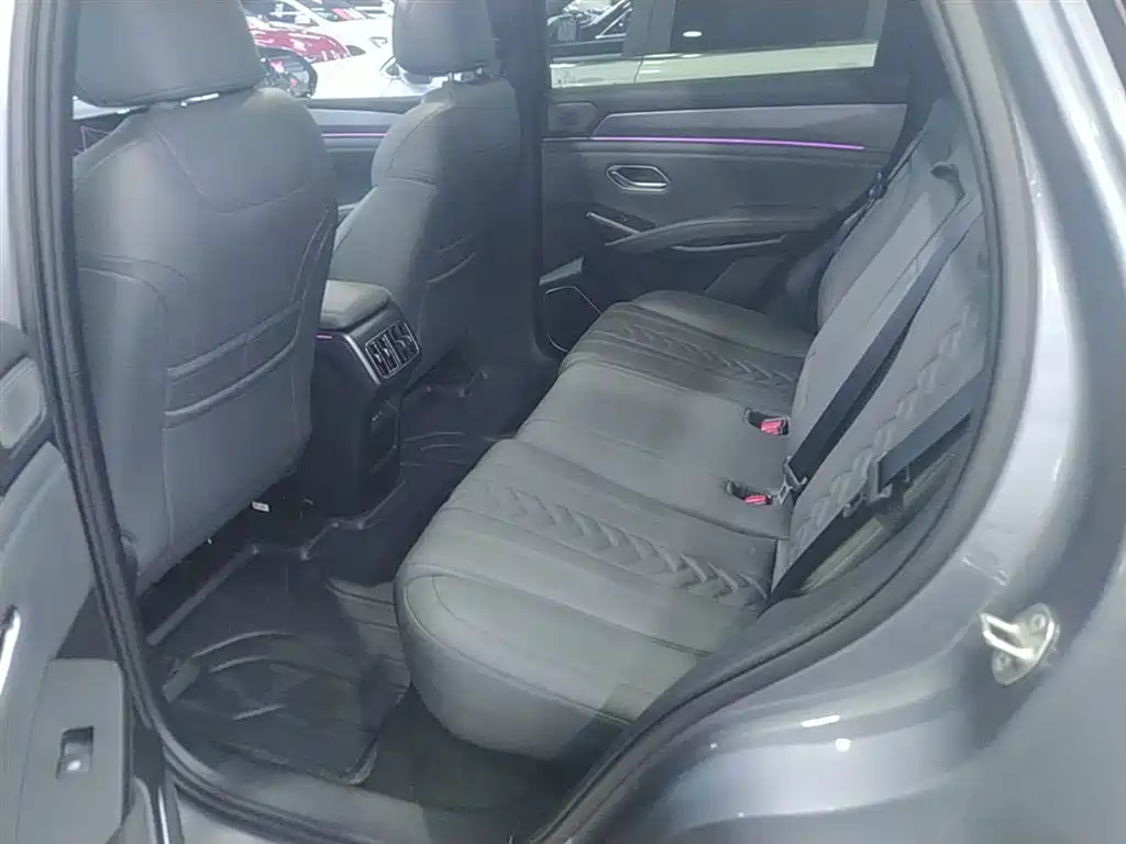 BYD L DM-i 2025 — фото 17