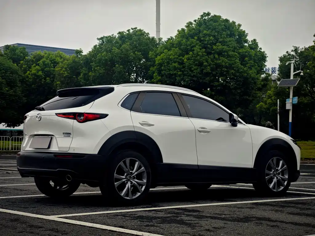 Mazda CX-30 2021 — фото 5