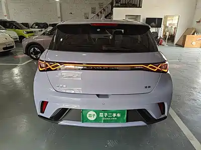 BYD Dolphin 2024