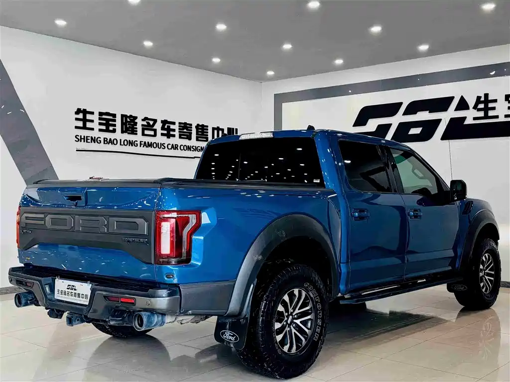 Ford F-150 Raptor 2020 — фото 6