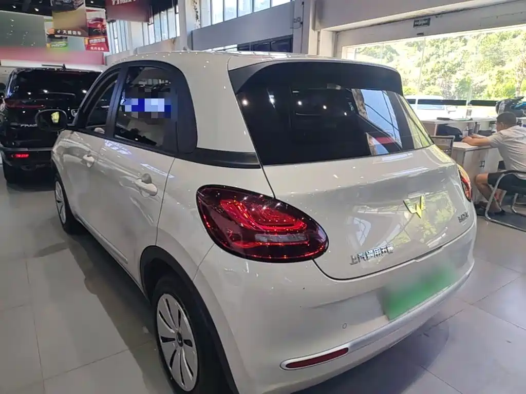 Wuling Bingo 2024