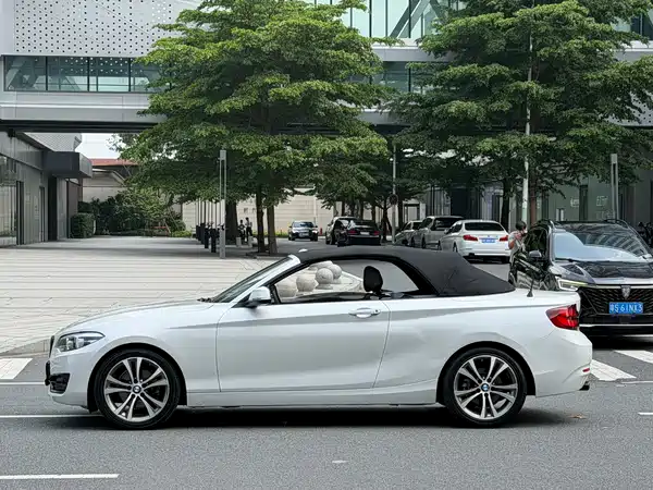 BMW 2 Series 2019