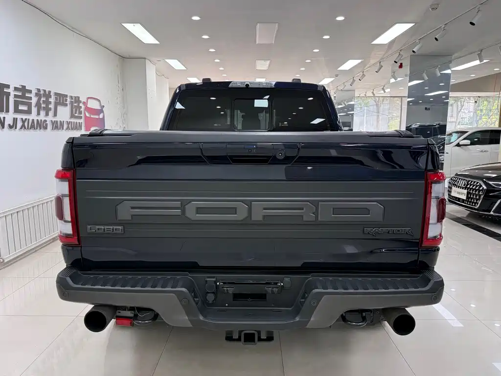 Ford F-150 Raptor 2023 — фото 16