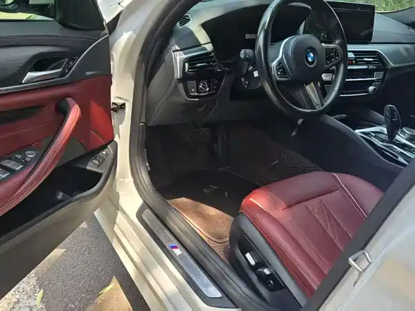 BMW 5 Series New Energy 2021
