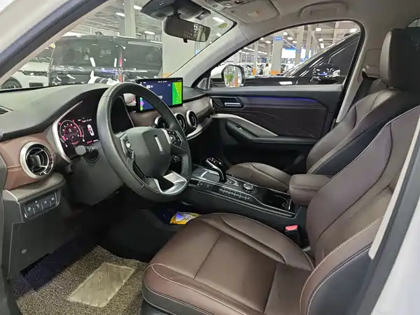 Wey VV6 2020
